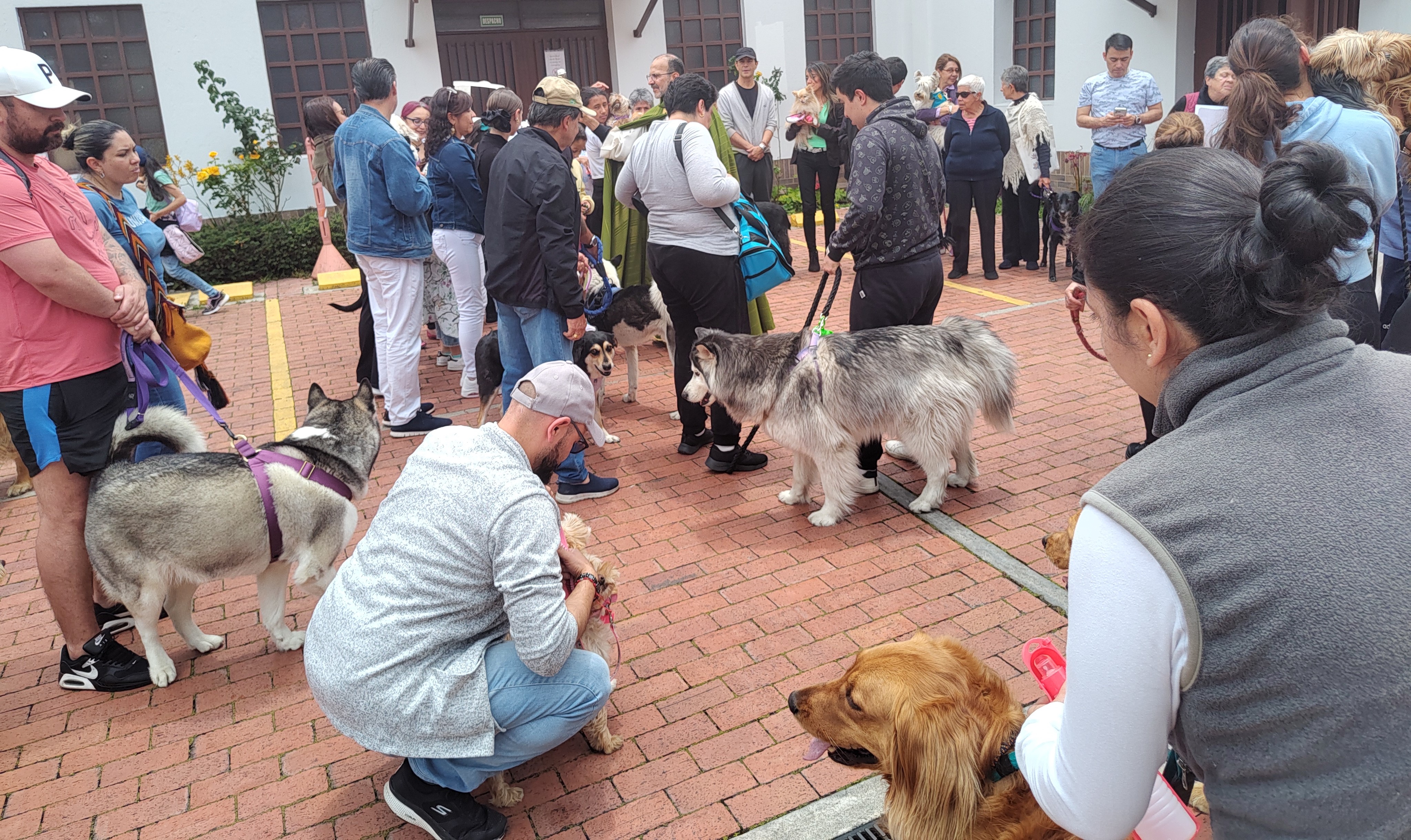 bendición de los animales 7