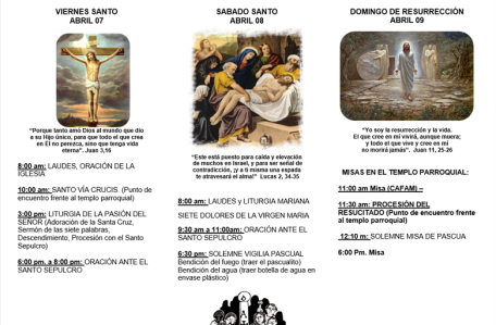 semana 2