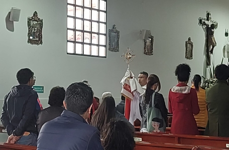 corpus 5