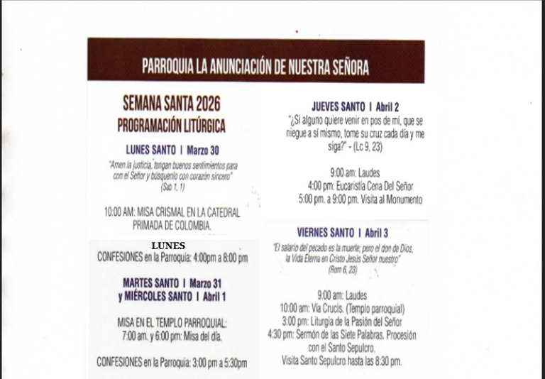 programacion